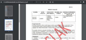2. Sınıf Hayat Bilgisi Proje Taslağı