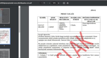 2. Sınıf Hayat Bilgisi Proje Taslağı
