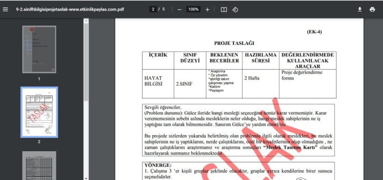 2. Sınıf Hayat Bilgisi Proje Taslağı