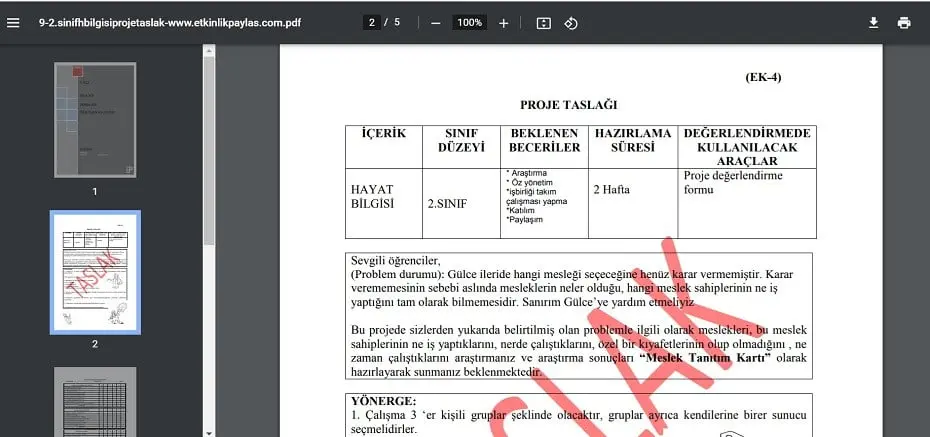 2. Sınıf Hayat Bilgisi Proje Taslağı
