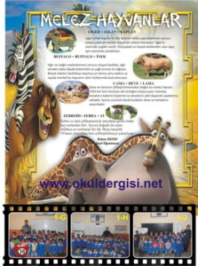 Okul Dergisi Örneği
