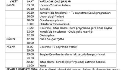 4. Sınıf Ders Çalışma Programı: Başarıya Giden Yol (Word İndir)