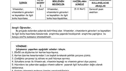 5. Sınıf Fen Bilgisi Performans ve Proje Ödevleri