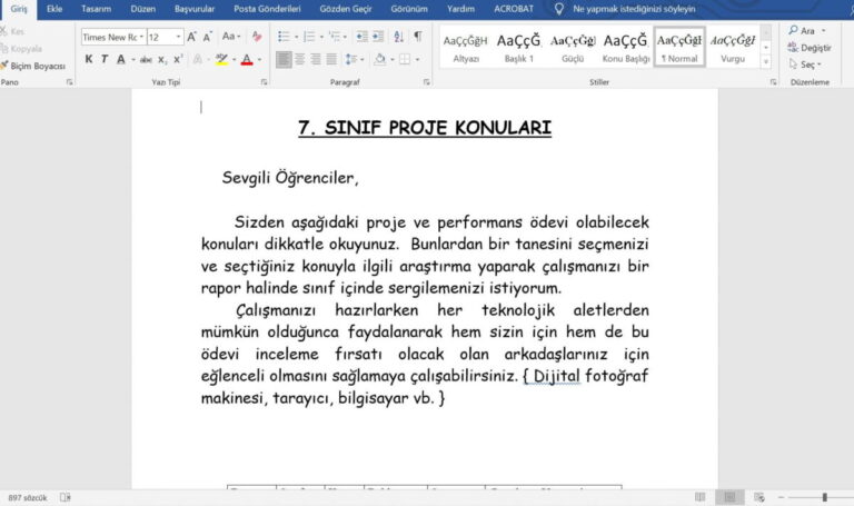 7. Sınıf Türkçe Performans ve Proje Ödev Konuları – Word