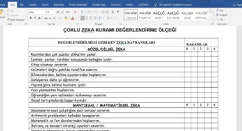 Çoklu Zeka Değerlendirme Ölçeği