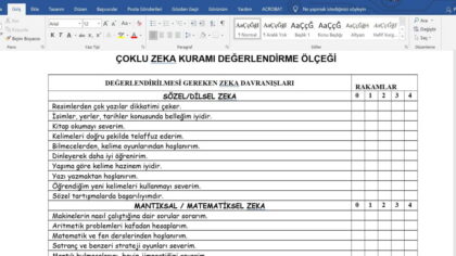 Çoklu Zeka Değerlendirme Ölçeği