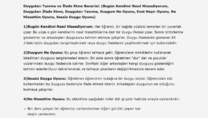 Duyguları Tanıma ve İfade Etme Becerisi Oyunları