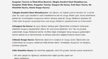 Duyguları Tanıma ve İfade Etme Becerisi Oyunları