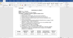 Fen Bilgisi Performans ve Proje Ödev Örnekleri