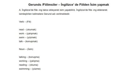 Gerunds / Fiilimsiler