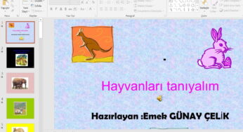 Hayvanları Tanıyalım Sunusu – ppt