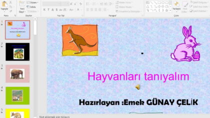 Hayvanları Tanıyalım Sunusu – ppt