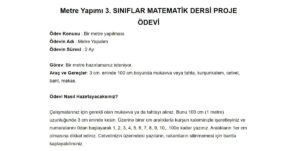 Metre Yapımı – Matematik Proje Ödevi