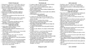 Okul – Veli – Öğrenci Sözleşmesi – word