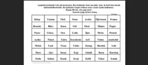 Özel Eğitim Öğrencilerine Yönelik Kapsamlı Türkçe Etkinlik Örnekleri