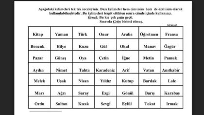 Özel Eğitim Öğrencilerine Yönelik Kapsamlı Türkçe Etkinlik Örnekleri
