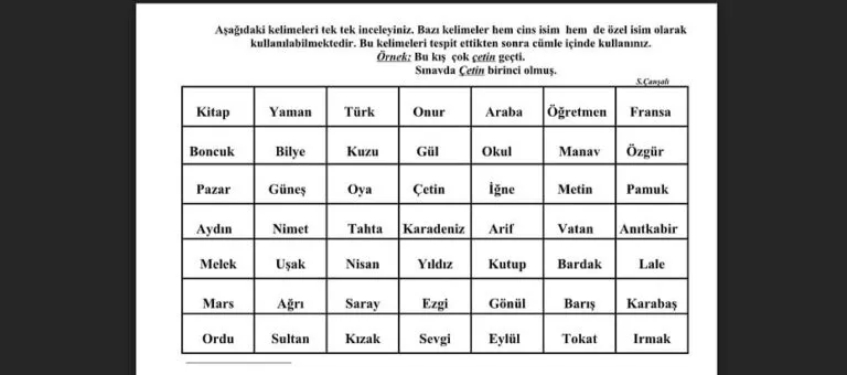 Özel Eğitim Öğrencilerine Yönelik Kapsamlı Türkçe Etkinlik Örnekleri