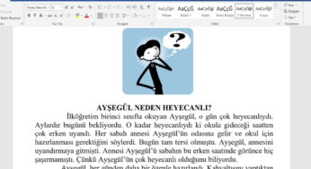 Özel Eğitimde Okuduğunu Anlama: BEP, Çalışma Yaprağı ve Maarif Modeli