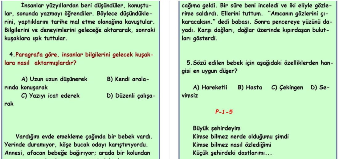 Paragrafta Anlam – TEST – 5. SINIF TÜRKÇE
