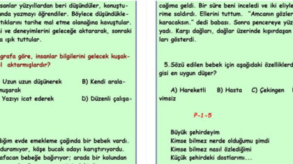 Paragrafta Anlam – TEST – 5. SINIF TÜRKÇE