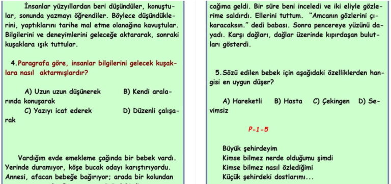 Paragrafta Anlam – TEST – 5. SINIF TÜRKÇE