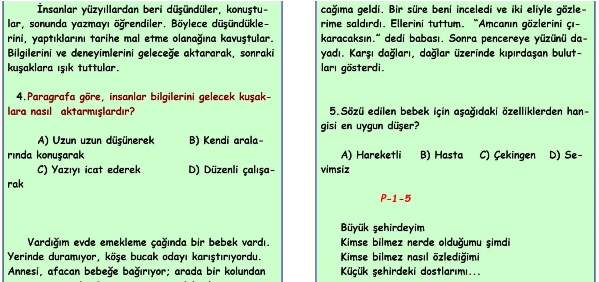 Paragrafta Anlam – TEST – 5. SINIF TÜRKÇE