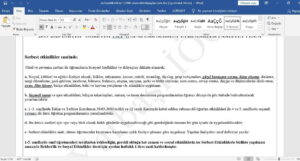 Serbest Etkinlikler Faaliyeti Yıllık Planı