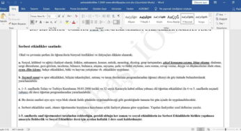 Serbest Etkinlikler Faaliyeti Yıllık Planı