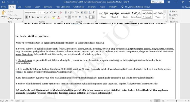Serbest Etkinlikler Faaliyeti Yıllık Planı