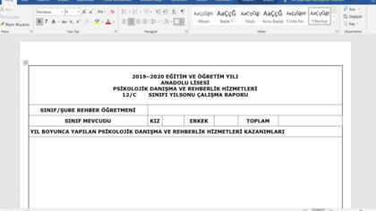 Sınıf Rehber Öğretmeni için Rehberlik Yıl Sonu Raporu