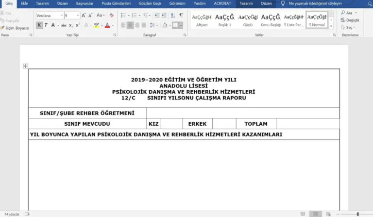 Sınıf Rehber Öğretmeni için Rehberlik Yıl Sonu Raporu