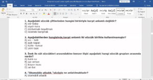 Türkçe Yazılı ve Test Soruları (Metin Şeklinde)