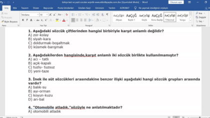 Türkçe Yazılı ve Test Soruları (Metin Şeklinde)