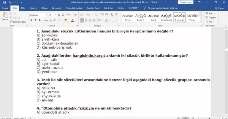 Türkçe Yazılı ve Test Soruları (Metin Şeklinde)