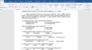 Yetişkinler için Okuma Yazma Kursu Değerlendirme Sınavı -word