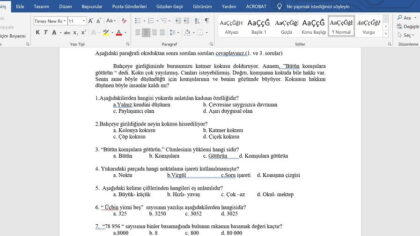 Yetişkinler için Okuma Yazma Kursu Değerlendirme Sınavı -word