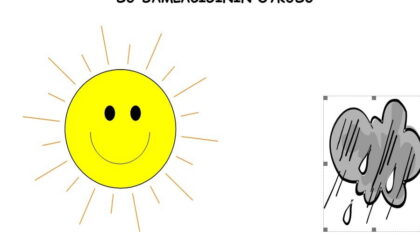2. Sınıf Türkçe Okuma Anlama Etkinliği
