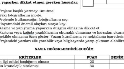 Proje Ödevleri Hazırlama Yönergeleri 4. Sınıf | PowerPoint Sunu ve Rehber