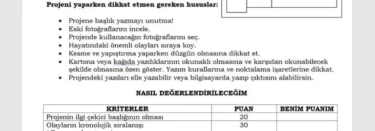 Proje Ödevleri Hazırlama Yönergeleri 4. Sınıf | PowerPoint Sunu ve Rehber