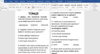 2. Sınıf Deneme Sınavı: Türkçe / Matematik / Hayat Bilgisi