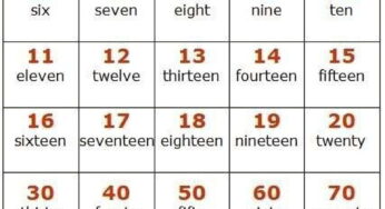 İngilizce Sayılar 1 den 100 e Kadar – Okunuşu – Yazılışı