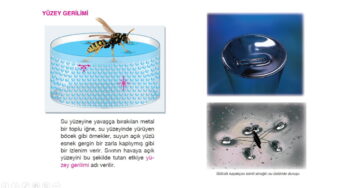 Adezyon Kohezyon Yüzey Gerilimi Kılcallık Sunusu – 10. Sınıf Fizik