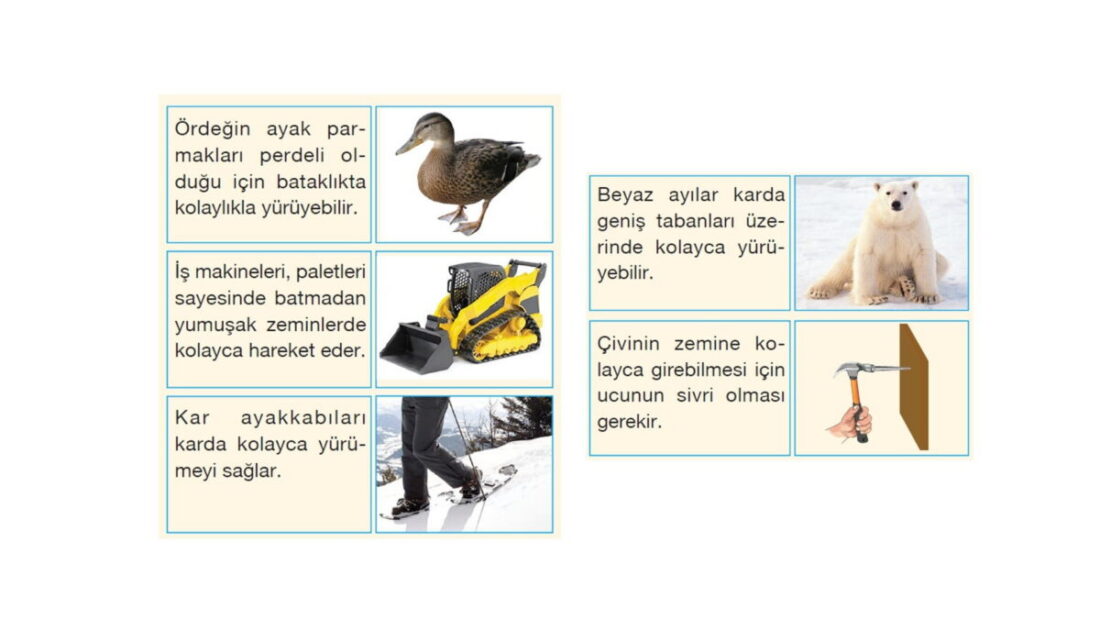 Katı Sıvı Gaz Basıncı Konu Anlatım Sunusu – 9. Sınıf Fizik PPT
