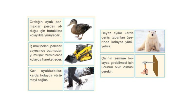Katı Sıvı Gaz Basıncı Konu Anlatım Sunusu – 9. Sınıf Fizik PPT