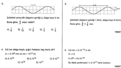 Dalgalar Çözümlü Sorular – PDF – 10. Sınıf Fizik