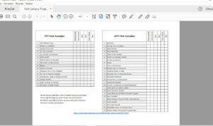 Fizik Çalışma Programı – TYT ve AYT – PDF