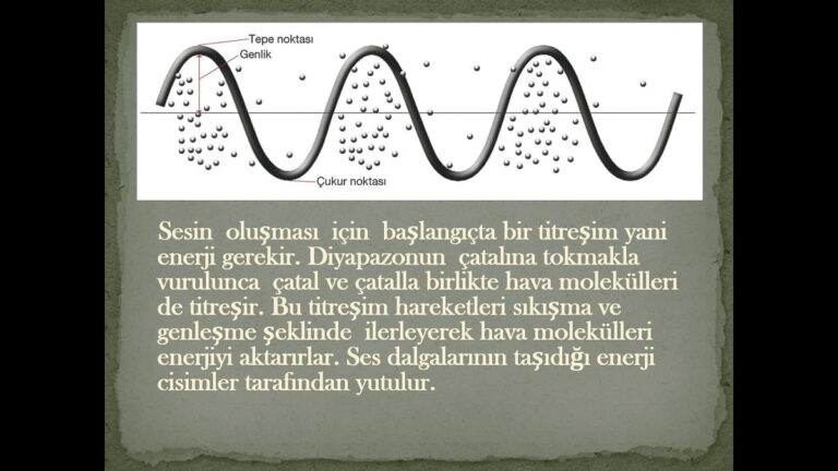 Ses Dalgaları PPT Konu Anlatımı – 10. Sınıf Fizik Sunusu İndir