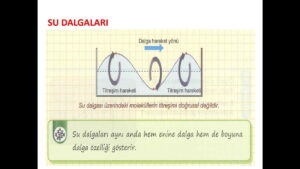 Su Dalgaları Konu Anlatım Sunusu (PPT) – 10. Sınıf Fizik ve YKS
