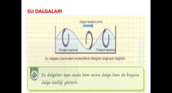 Su Dalgaları Konu Anlatım Sunusu (PPT) – 10. Sınıf Fizik ve YKS