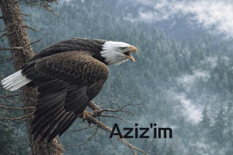 Aziz’im Şiiri – İbrahim Sevindik